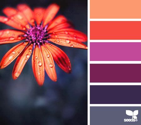colors that look good together | Color schemes, Design seeds, Seeds color