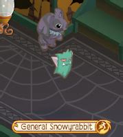 Animal Jam Spirit Blog: Little Clothing Glitches