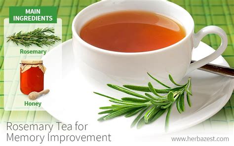 Rosemary Tea for Memory Improvement | Recipe | Rosemary tea, Healthy ...