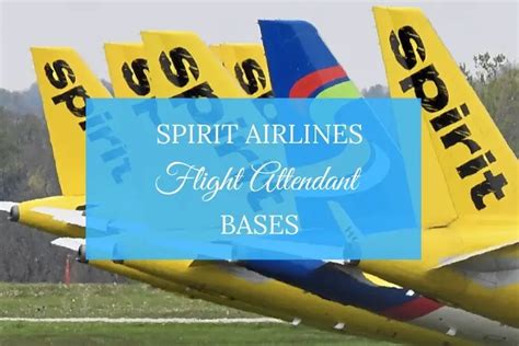 Spirit Airlines Flight Attendant Bases [Ultimate Guide]