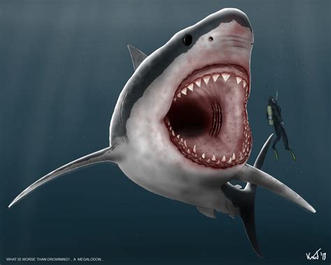 🔥 [44+] Megalodon Wallpapers HD | WallpaperSafari