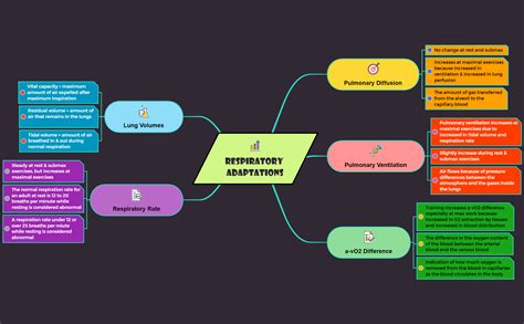 RESPIRATORY ADAPTATIONS | Haziq Rahaman - Xmind