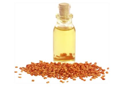 Fenugreek Oil: 7 Healthy Benefits Of Fenugreek - MKExpress.net