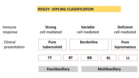 LEPROSY- Tuberculoid & Lepromatous | Pathology Made Simple