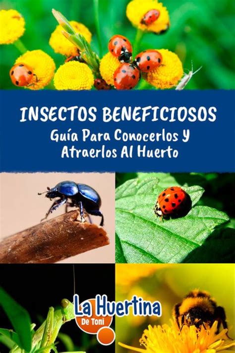 Insectos beneficiosos para las plantas y la huerta. Guía