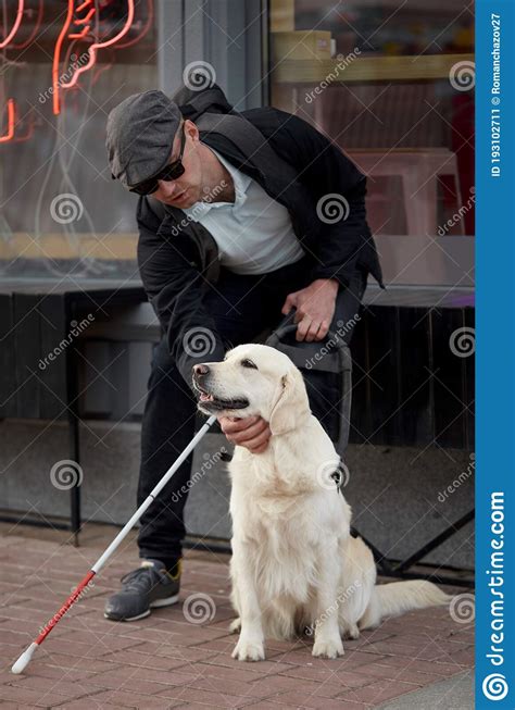 Young Blind Man Training Guide Dog, Giving Obedience Commands Stock Image - Image of friend ...