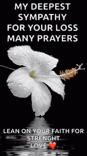 Sympathy Prayers, Words Of Sympathy, Condolence Messages, Deepest Sympathy, Condolences, Optical ...