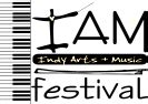 Indy arts & music festival - Home