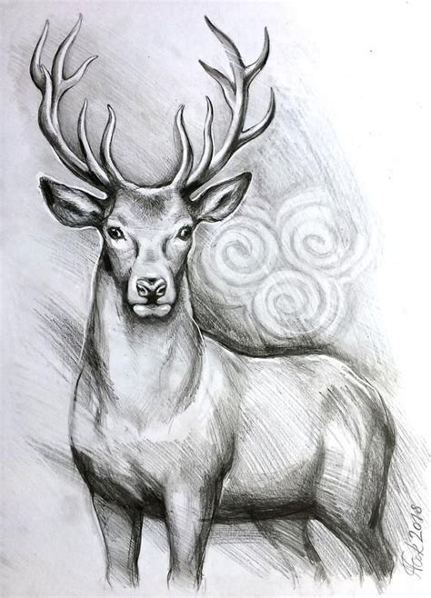 Animals Easy Deer Pencil Drawing - bmp-clown