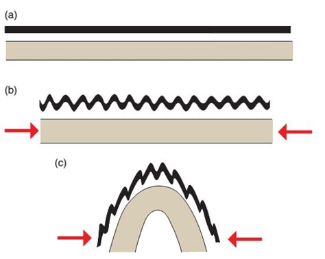 Learning Geology: Folding: mechanisms and processes