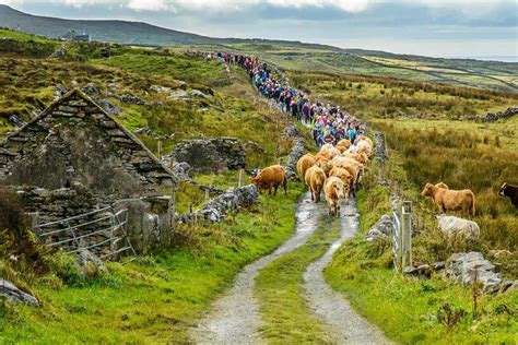 Ireland Landscape