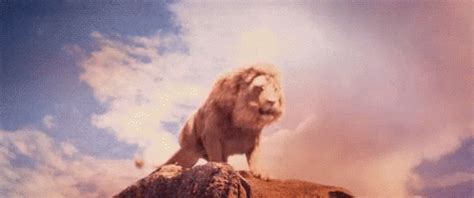 The popular Lion Rawr GIFs everyone's sharing