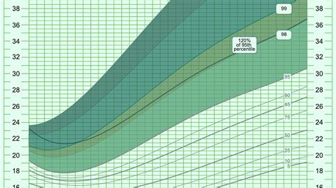 Extended BMI Charts Help Address the Pediatric Obesity Crisis | MedPage ...