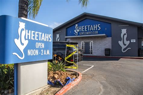 City seeking cease-and-desist order for Cheetahs adult club - The San ...