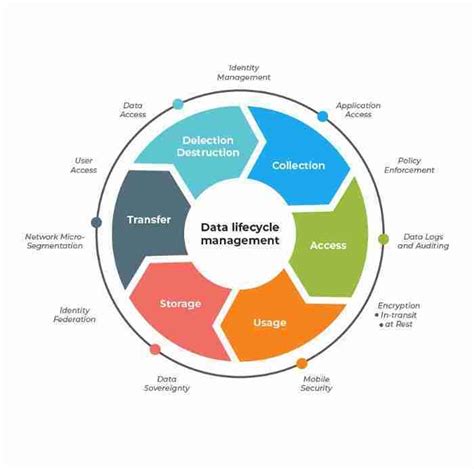 7 Phases Of Data Life Cycle Every Business Must Be Informed