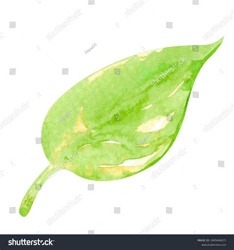 Leaf Watercolor Hand Drawn Clip Art Stock Illustration 2045644271 ...