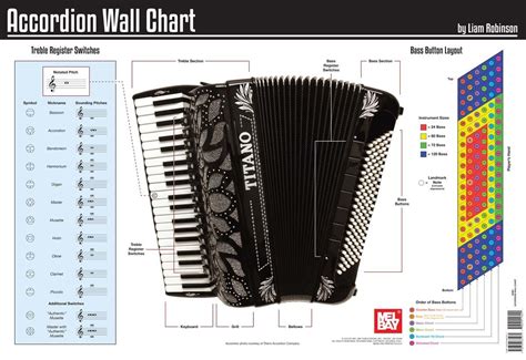 Piano Accordion Instruction - Beginner