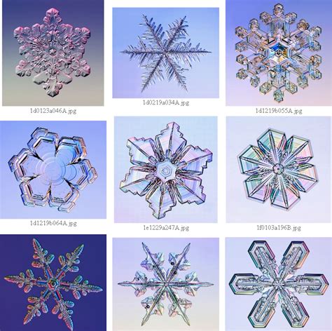 Snowflakes under the microscope - The Washington Post