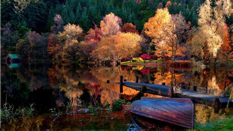 Lake in the woods wallpaper - Nature wallpapers - #15494