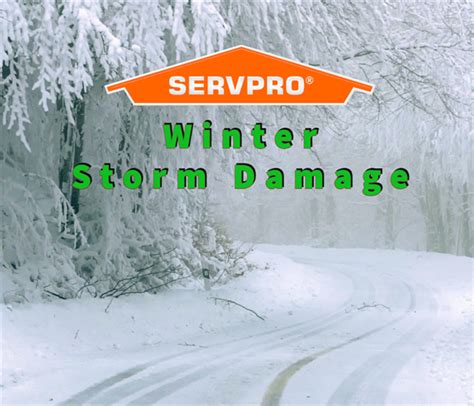 Winter Storm Damage: 5 Effective Tips For Your Property