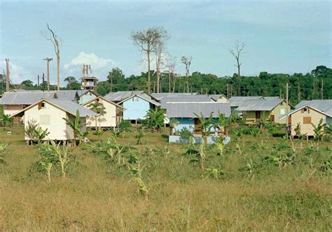 Looking back at the Jonestown tragedy Photos - ABC News