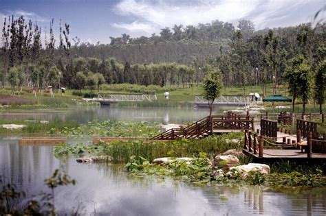 Beijing Olympic Forest Park | Landscape Performance Series