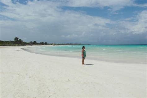 View from the beach bar - Picture of Sol Cayo Coco - Tripadvisor