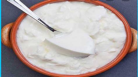 Homemade curd recipe 🎀how to set curd perfectly 🎀 - YouTube