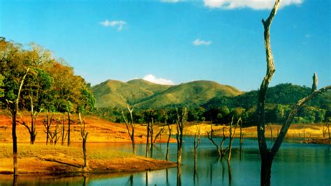 Exploring Periyar Tiger Reserve | Kerala Tourism