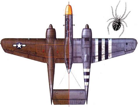 P-61 Black Widow | Aircraft of World War II - WW2Aircraft.net Forums