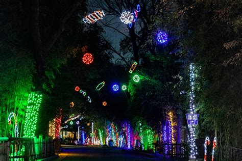 Christmas Lights in Dallas, Texas | Visit Dallas