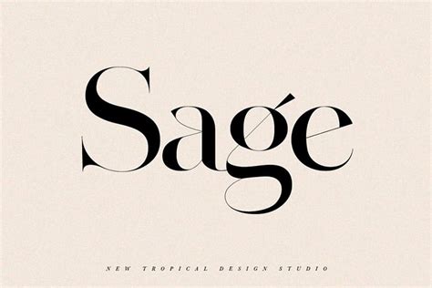 35 of the Best Magazine Fonts for Stunning Designs - Vandelay Design