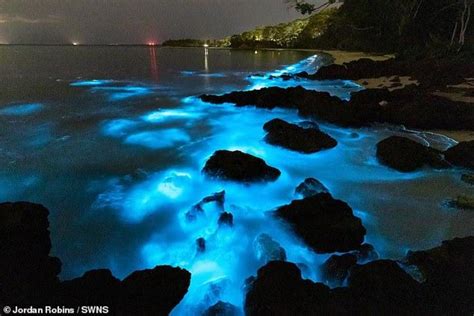 Fire of the sea: mesmerising footage of bioluminescent ALGAE glowing bright blue as photographer ...