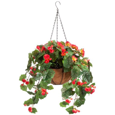 Full Assembled Begonia Hanging Basket by OakRidge™