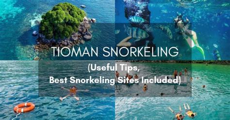 Tioman Snorkeling: For First-Time Travellers (NEW GUIDE 2019)