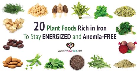 Foods High In Iron For Anemia