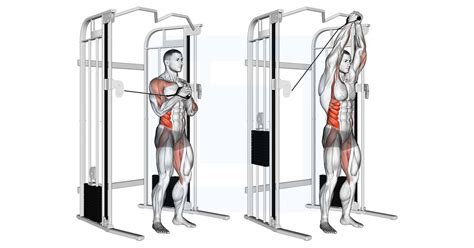 Cable Vertical Pallof Press - Guide, Benefits, and Form