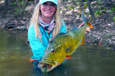 Florida Peacock Bass Record Falls After Nearly 30 Years! - Florida Sportsman