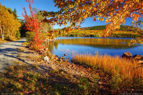 Acadia National Park, Fall Foliage | The fall foliage was pe… | Flickr