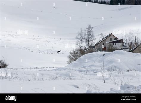 Winter in Vercors Massif, France Stock Photo - Alamy