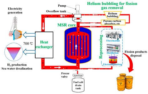 Energies | Free Full-Text | A Review of Molten Salt Reactor Multi ...