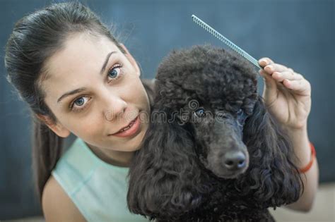 Grooming a Little Dog in a Hair Salon for Dogs Stock Image - Image of breed, glamour: 104870749