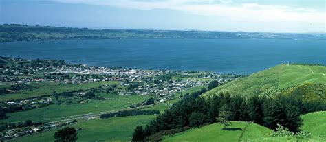 Things to see and do in Ngongotaha, New Zealand