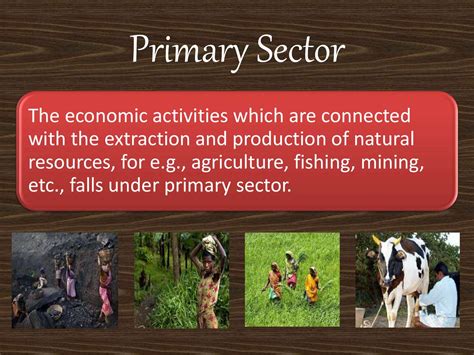 Sectors Of Indian Economy Class 10 (Eco)