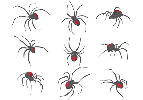 Black Widow Spider Vector Art, Icons, and Graphics for Free Download