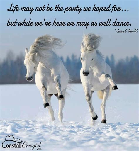 422 best images about Horse Quotes on Pinterest