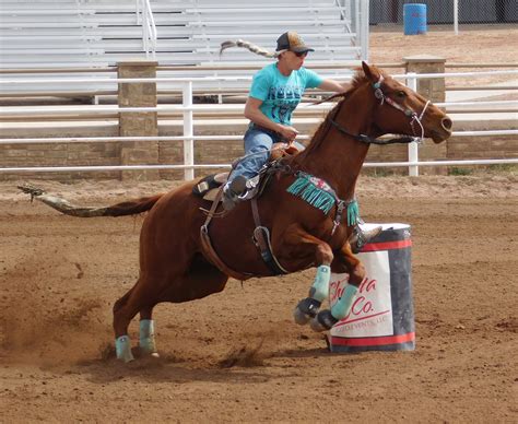 Barrel Racing | Barrel racing horses, Rodeo life, Barrel racing photography