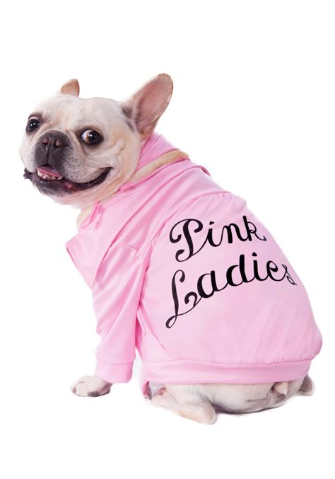 Grease Pink Ladies Jacket Dog Costume