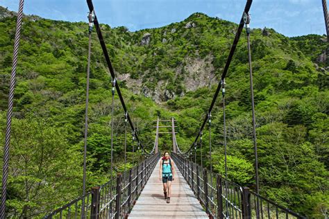 On the Gwaneumsa hiking trail to Hallasan on Jeju Island - Stock Photo - Dissolve