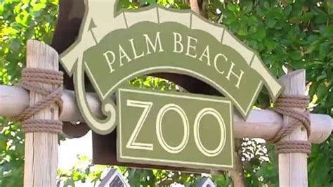 8 of the Best Zoos in Florida - The Family Vacation Guide